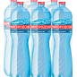 Мінеральна вода Миргородська сильногазована 1,5л (упаковка 6 шт) цена