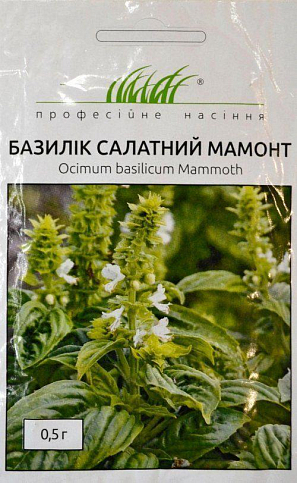 Базилік салатний "Мамонт" ТМ "Hem Zaden" 0.5г