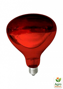 Лампа інфрачервона Lemanso 250W E27 230V повністю червона / LM3012 (588636)2