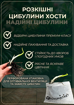 Хоста "Guacamole" 7