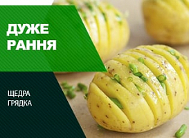 Суперранні сорти картоплі - корисні статті про садівництво від Agro-Market
