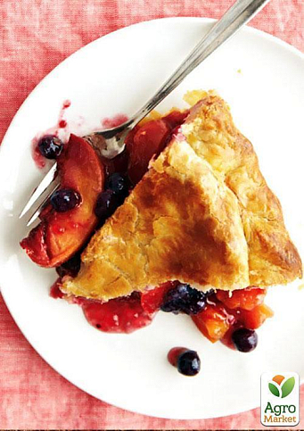 Эксклюзив! Нектарин колоновидный ярко-оранжевый с красным бочком "Принц Уильям" (Prince William) (премиальный среднеспелый сорт) - фото 4