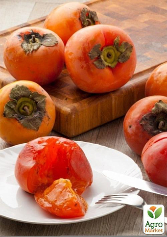 Хурма на виргинском морозостойком подвое "Королек" высший сорт! - фото 8