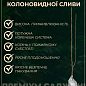 Слива колоновидная "Рубин" (летний сорт, средний срок созревания)