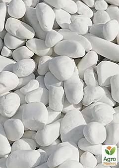 Декоративные камни Галька белая "Доломит" фракция 40-70 мм 5 кг2