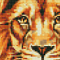 Алмазна мозаїка - Розкішний лев Ідейка AMO7505 купить