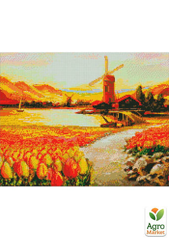 Алмазная мозаика - В долине тюльпанов  Идейка AMO7649