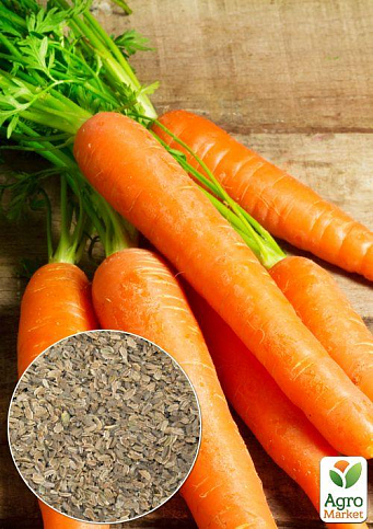 На развес Морковь "Сладкая зимняя" ТМ "Весна" цена за 10г