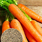 На развес Морковь "Сладкая зимняя" ТМ "Весна" цена за 10г