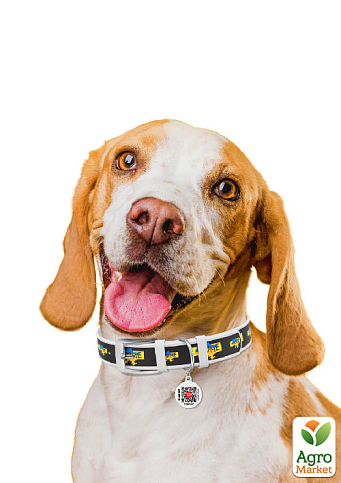 Ошейник для собак кожаный WAUDOG Design с QR паспортом, рисунок "Дом", M, Ш 20 мм, Длин 29-38 см, белый (3604-0230-15) - фото 2