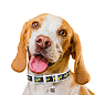 Ошейник для собак кожаный WAUDOG Design с QR паспортом, рисунок "Дом", M, Ш 20 мм, Длин 29-38 см, белый (3604-0230-15) купить