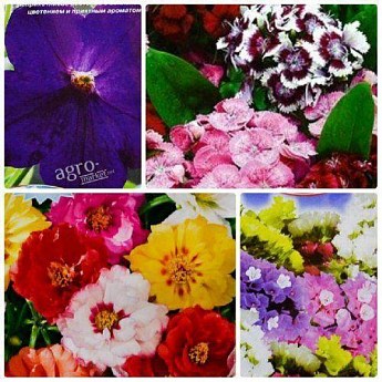 Комплект семян цветов "Фейерверк счастья" 5уп