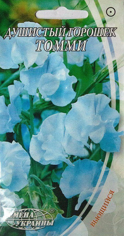 Душистый горошек "Томми" ТМ "Семена Украины" 1г