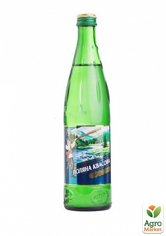 Вода ТМ "Поляна Квасова" газ. 0,5 л (скло) упаковка 12 шт - фото 2