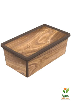 Коробка Qutu Trend Box Дерево 5 л1