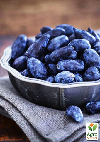 Жимолость "Богучарська" (ранній термін дозрівання, висока транспортабельність) - фото 7