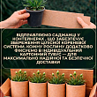 Гвоздика Махровая "Sunflor Megan" (контейнер № 10, высота 10 см) цена