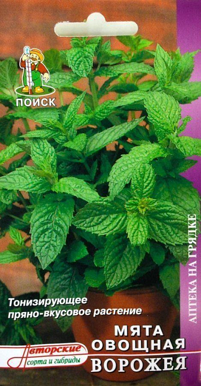 М'ята овочева "Ворожка" ТМ "Пошук" 0.1г