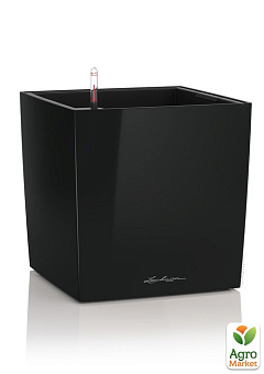 Розумний вазон з автополивом Lechuza Cube Premium 30, чорний (16469)1