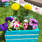 Ящик дерев'яний для зберігання декору та квітів "Прованс" довжина 25см, ширина 27см, висота 13см. (синій)