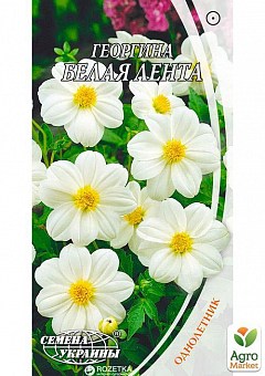 Георгина "Белая лента" ТМ "Семена Украины" 0.3г27