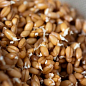 Тверда пшениця для пророщування органічного походження ТМ "Green Vitamin" 250г