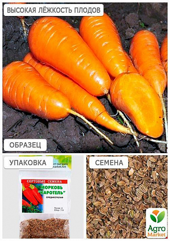 Морковь "Каротель" (Зипер) ТМ "Весна" 5г - фото 2