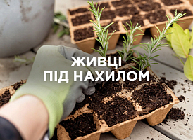 Черенки під нахилом: важливість кута посадки для росту рослин | Agro-market