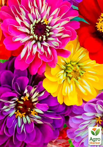 Комплект семян цветов на развес "Безумный бум" 5уп