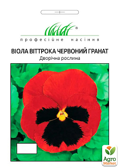 Виола виттрока "Красный гранат" ТМ "Профессиональные семена" 20шт13