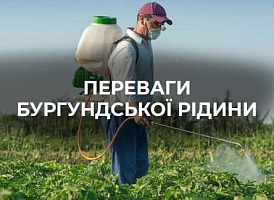 Бургундська рідина для саду: приготування та застосування | Agro-market