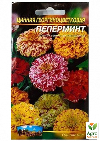Цинния георгиноцветковая "Пеперминт" ТМ "Весна" 0.4г - фото 2