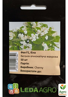 Бегония "Фея F1" белая ТМ "Leda Agro" 50шт2