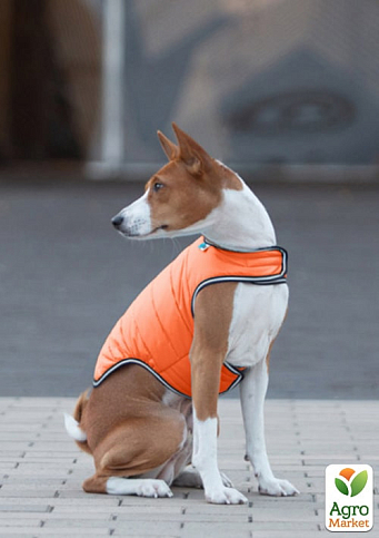 Куртка-накидка для собак AiryVest, L, B 58-70 см, С 42-52 см оранжевый (15444) - фото 5