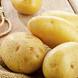 Картопля "Саншайн" насіннєва рання (1 репродукція) 1кг