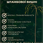 Вишня плакуча на штамбі (вік від 2х років, висота 100-150см) купить