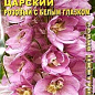 Дельфиниум культурный "Царский розовый с белым глазком" ТМ "Аэлита" 0.1г