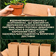 Мирт кімнатний