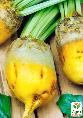 На вагу Буряк кормовий "Сонет" ТМ "Весна" ціна за 15г