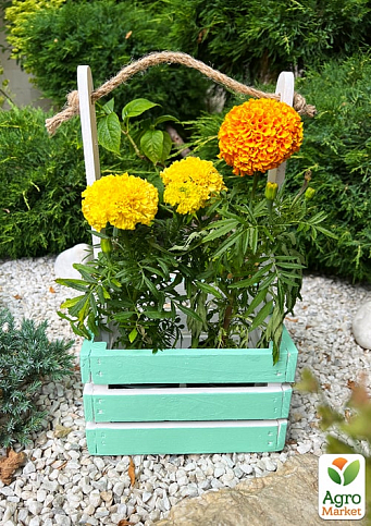 Ящик декоративний дерев'яний для зберігання та квітів "Джусіно" довжина 22см, ширина 20см, висота 13см, висота з ручкою 40см. (бірюзовий з дерев'яними ручками) - фото 4