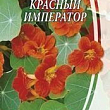 Настурция вьющаяся "Оранжевый император" ТМ "Семена Украины" 1.5г