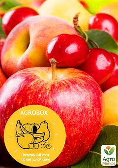 Ексклюзив! AGROBOX з високоврожайним плодовим деревом1