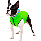 Курточка для собак AiryVest двостороння, розмір S 35, салатово-блакитна (1601) купить