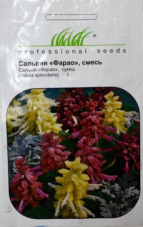 Сальвія "Фарао" суміш ТМ "Hem Zaden" 0,1г