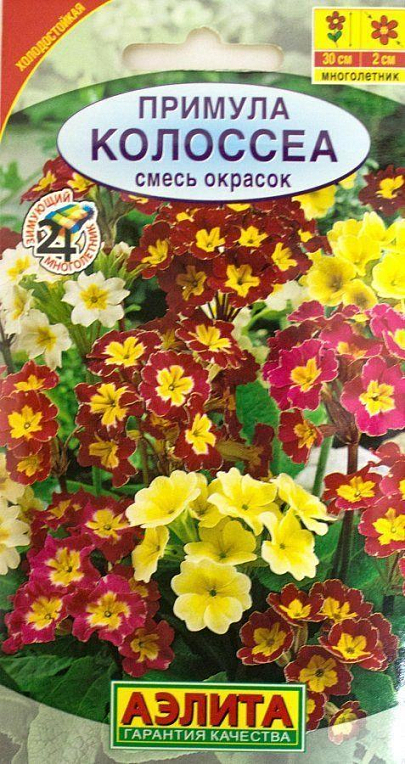Примула Колоссеа, смесь окрасок ТМ "Аэлита" 0,05г