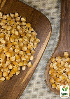 На развес Кукуруза сахарная ТМ "Весна" цена за 40г15