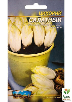 Цикорій "Салатний" ТМ "Весна" 0.3г3