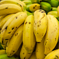 Эксклюзив! Банан карликовый ярко-желтого цвета "Сальвадор" (Salvador) (премиальный, высокоурожайный, сладкий сорт)