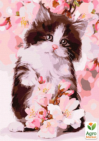 Картина по номерам - Пушистый котенок Идейка KHO4383