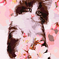 Картина по номерам - Пушистый котенок Идейка KHO4383
